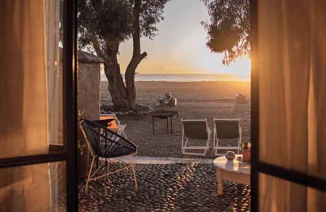 La Mouette et les Dromadaires