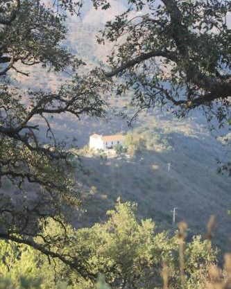 Lagar De Trevenez Montes De Malaga