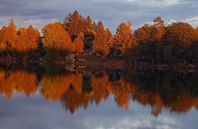 Lake Front on Little Clear Lake- Comfort Resort