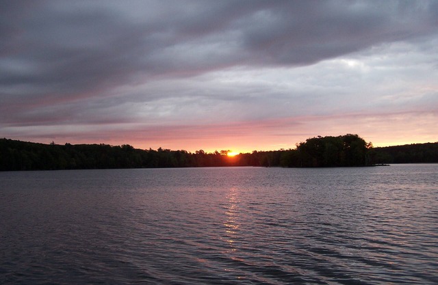 Lakeside Cabin & Paddle Craft