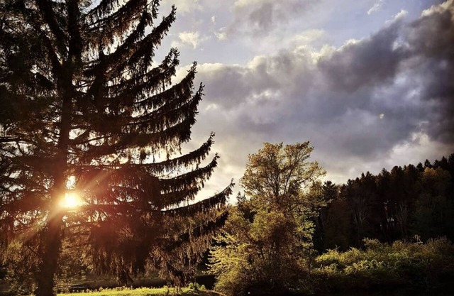 Lakeside Retreat! SPECIAL PRICING! DON'T MISS OUT!