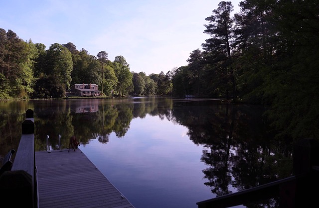 Lakeside Smoke-Free Studio with dock, canoe, wifi, HDTV, & Chromecast