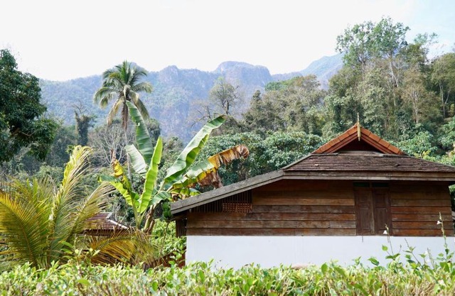 LANNA HOUSE บ้านลานนา เชียงดาว