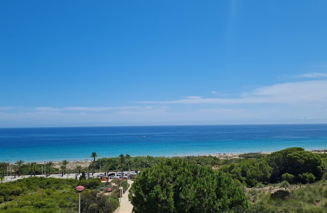 Large 160 m² terrace, pool, free Wi-Fi, and close to both the beach and Alicante