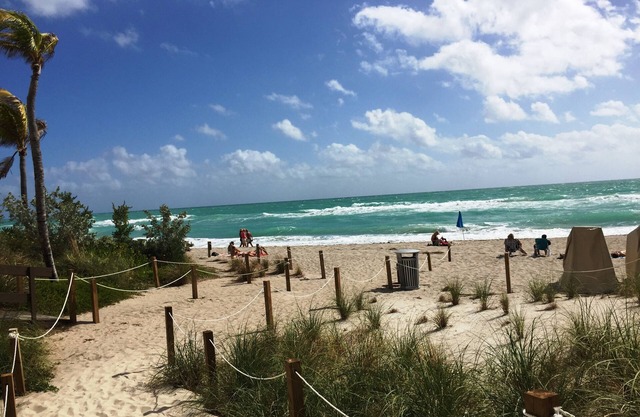 Large and cozy Hollywood Condo on the beach in South Florida!