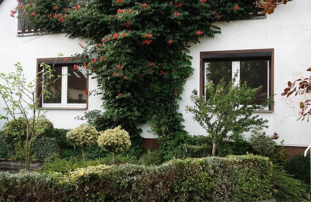 Large apartment in beautiful Havelland on the outskirts of Berlin-Spandau