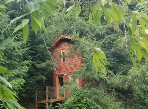 Large Estate Venue 2 hot tubs 2 treehouses