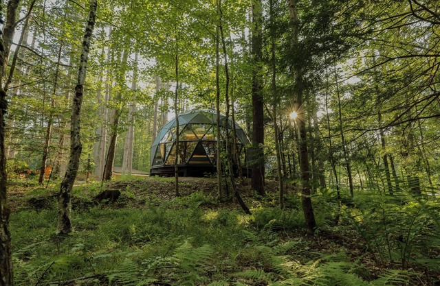 Large, luxurious geodesic dome - 04