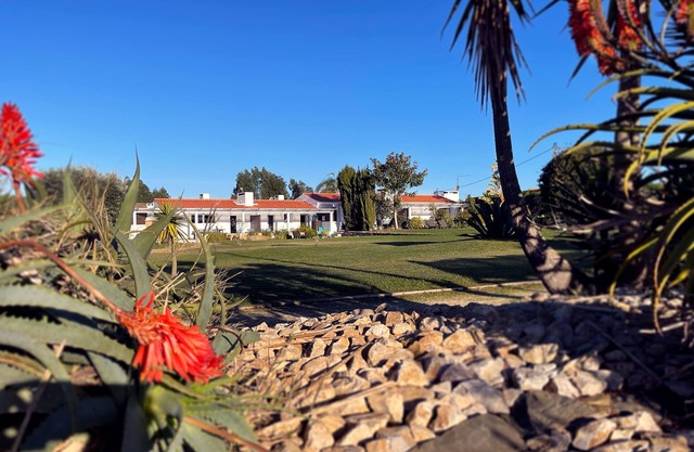 Large Stylish House 5 minutes from Zambujeira do Mar - House 2