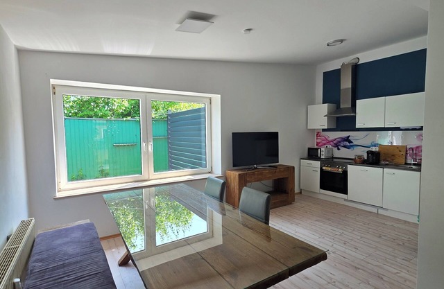 Large vacation apartment right in the center