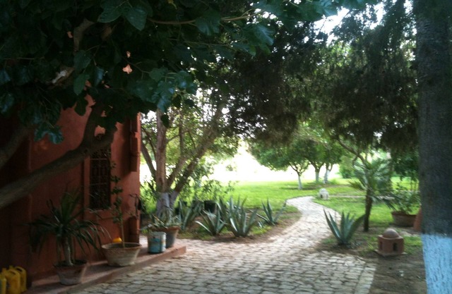 large villa hidden in the countryside
