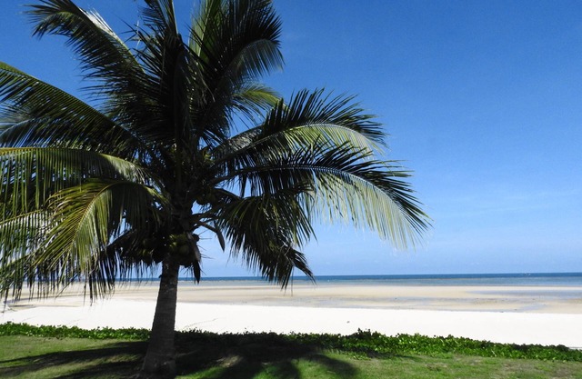 Laura's Guest House - adult only -