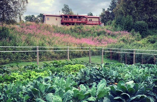 Lazy Mountain Hideaway