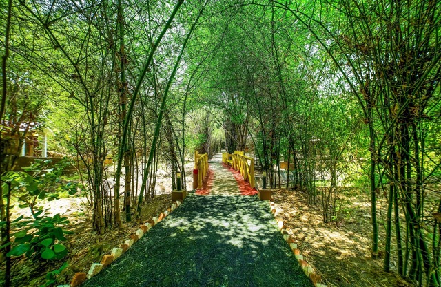 Lemon Tree Wildlife Resort, Bandhavgarh