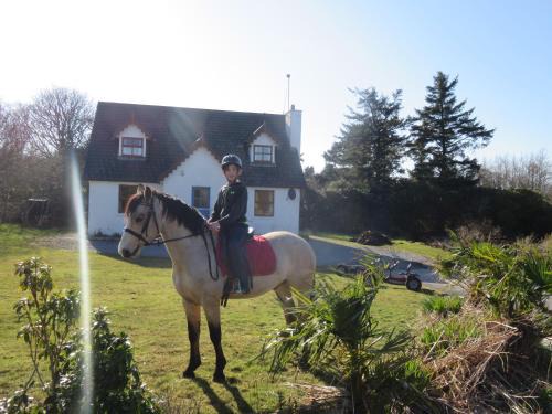 Letterfrack Farmhouse on equestrian farm in Letterfrack beside Connemara National Park