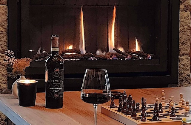 Light-flooded apartment with its own sauna + fireplace