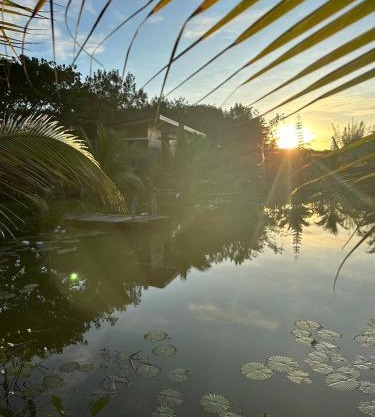 Likit Kirin Khao Kho