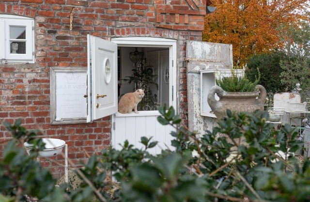 Lille Weiss-KEINE MONTEURE-