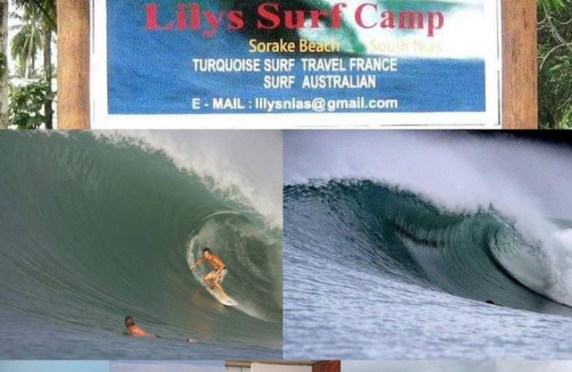 Lilys surf camp