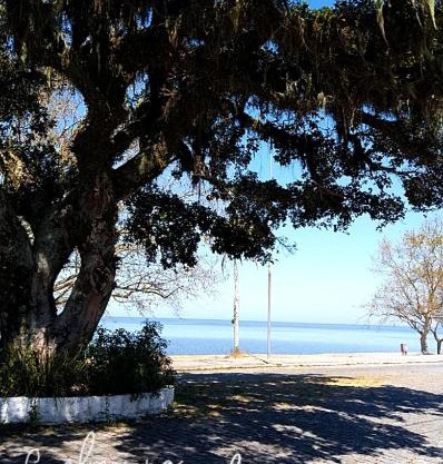 Linda casa para temporada em FRENTE A PRAIA em São Lourenço do Sul