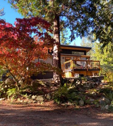 Little Cabin in Middlepoint