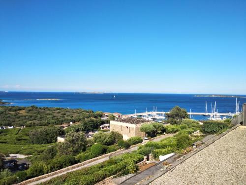 Little Emerald House