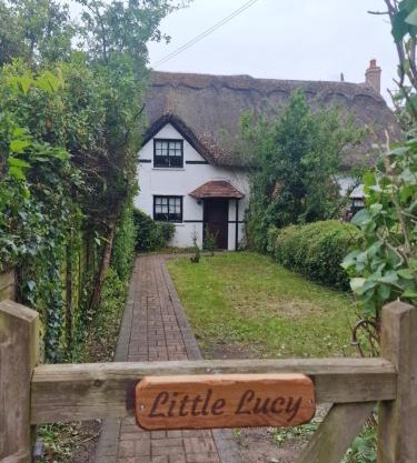 Little Lucy