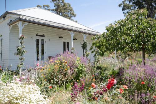 Little Oak - Place to Relax and Create Memories