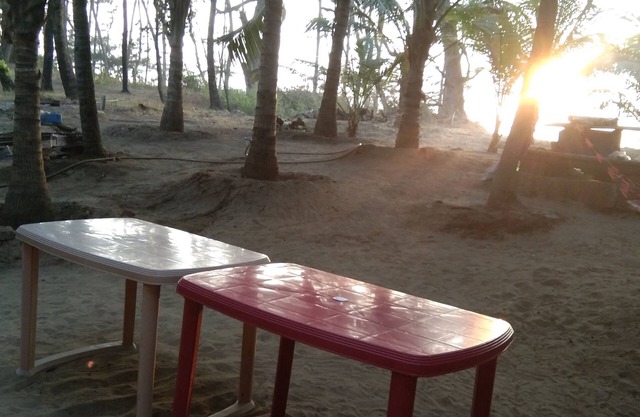 Live young, live free.