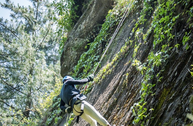 Livingstone ojuven Family Tree House
