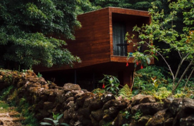 (Lodge Vista Floresta)