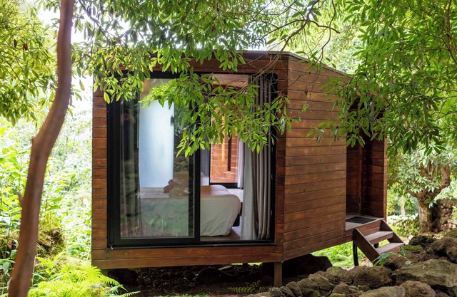 (Lodge Vista Floresta)