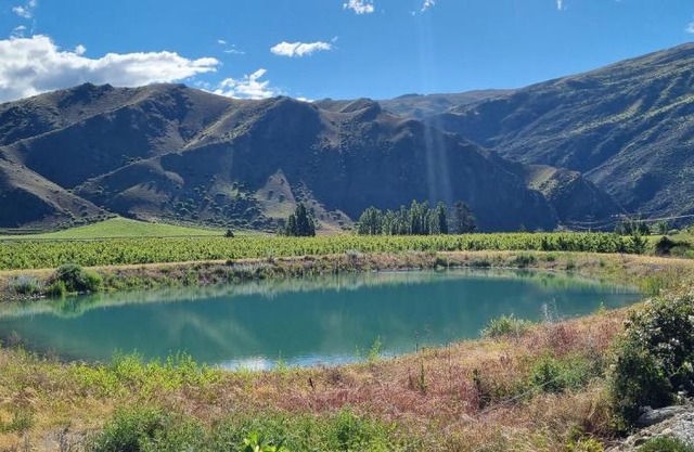 Lodges on Pearson - Unit 2