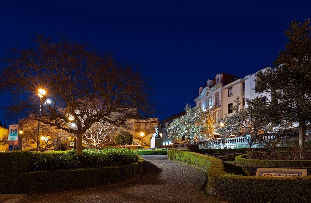 Loft P New Age Bemyguest - viseu center - internet fiber