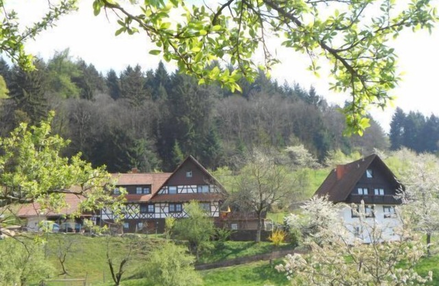 Log cabin Tanne, max. 4 persons