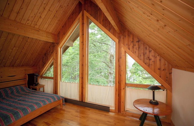 Log house with lake view