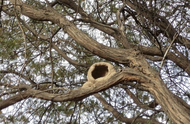 Los Racimos Finca San Rafael Mendoza