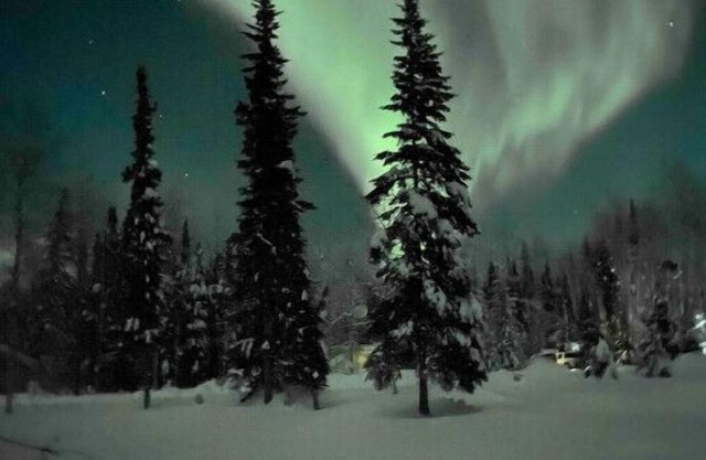 Lou’s Bear Den clean, quiet, comfortable. Close to everything you’ll needn