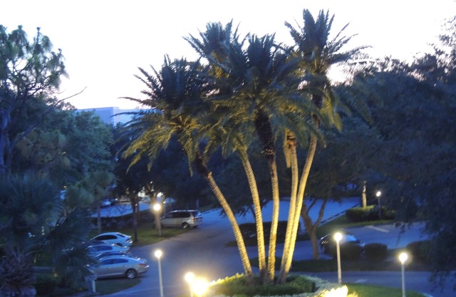 Lovely 2-BR Condo w/CC Social Membership