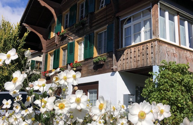 Lovely apartment in classic Chalet by the lake