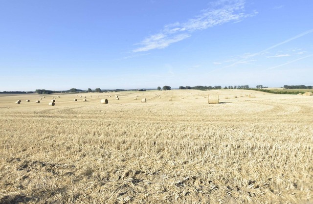 Lovely Apartment in Schwaan