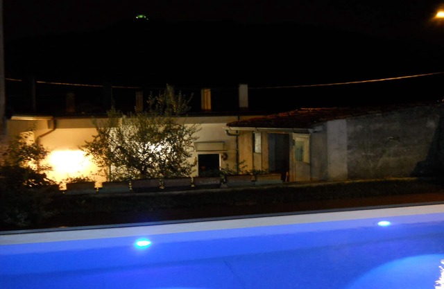 Lovely family apartment, small pets allowed