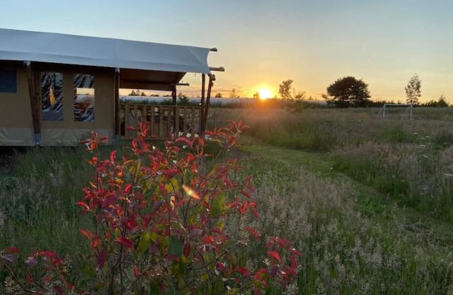 Luna & Hera - Luxury Vintage Glamping!