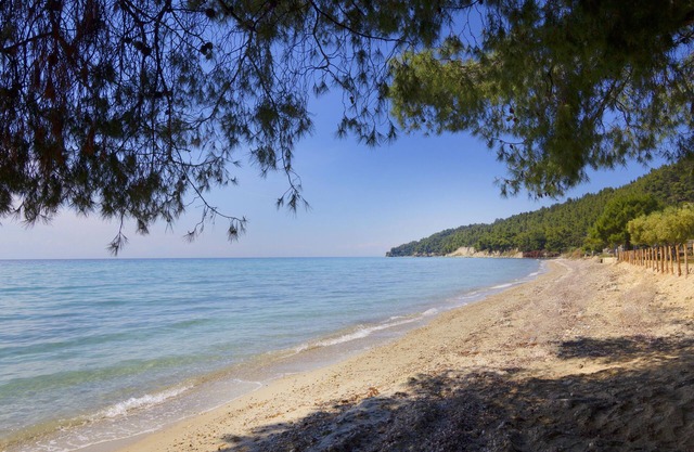 Luxurious Boutique Villa Vicky 50m from the beach