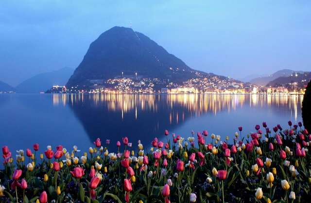 Luxurious Lugano Apartment with City Views