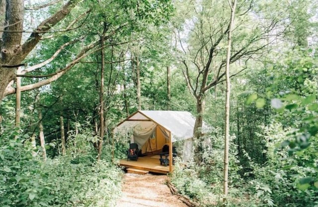 Luxury Glamping on Elora Flower Farm - Fox