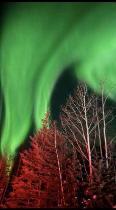 Luxury Northern Light Oasis