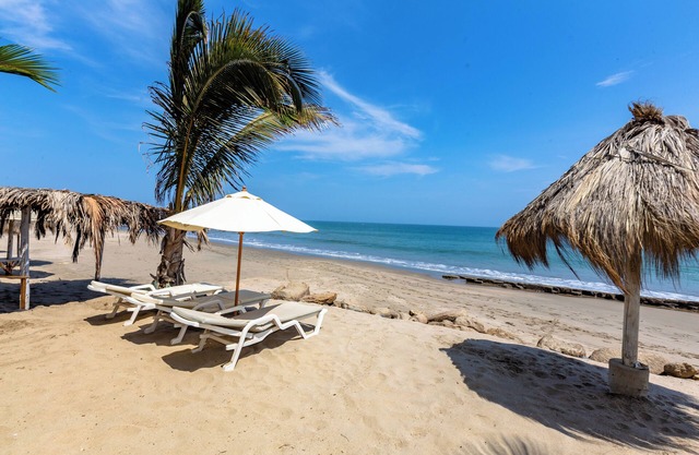 Luxury Oceanfront Condo w/sunrise & sunset breathtaking views. Private cook !