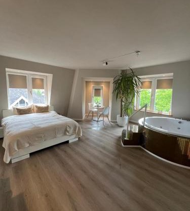 Luxury Private Spa with golden bath, cinema and sauna