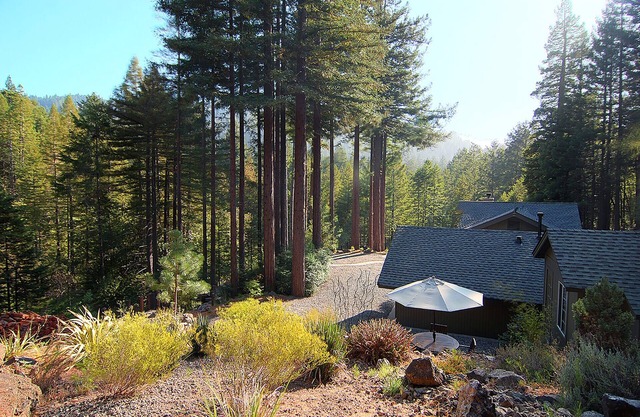 Luxury Redwoods Estate Compound w/Hot Tub and Fire Pit